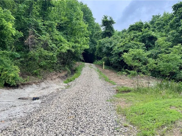 Marlott Run Rd, Piedmont, OH 43983