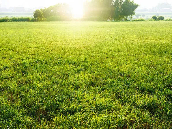 102 N Oakleaf Dr, Addison, IL 60101