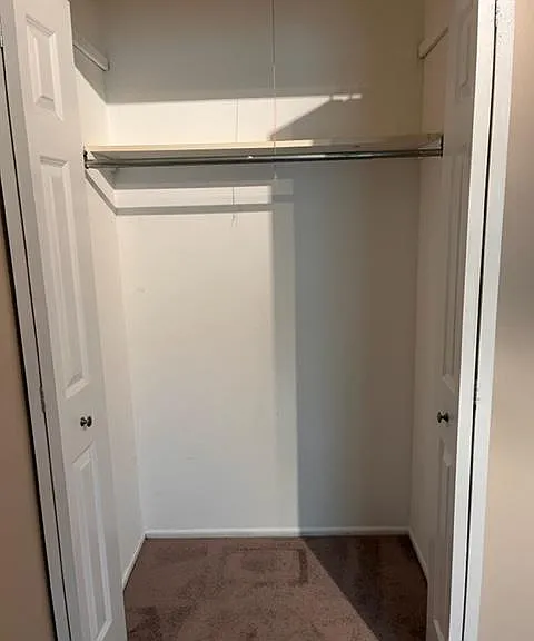 Guest bedroom closet