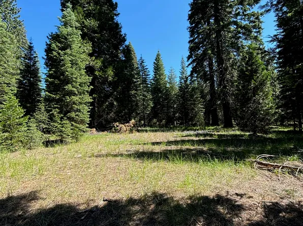 Block D Echo Ct Unit 4, McCloud, CA 96057