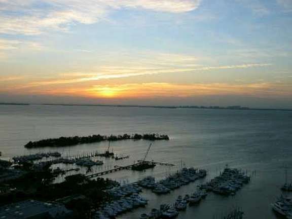 evening view
