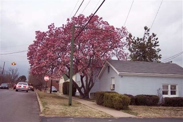 1st image of 606 Janssen Ave