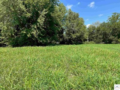 217 E Morgan St, Sedalia, MO, 65301