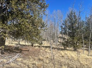 90 Pahaska Way, Como, CO 80456