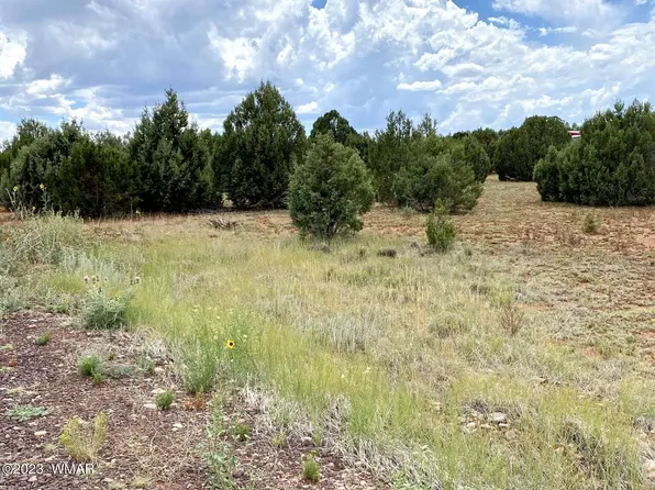 4805 Sawmill Rd, Clay Springs, AZ 85923