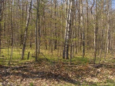 0 Indian Dr, Paris, MI, 49338