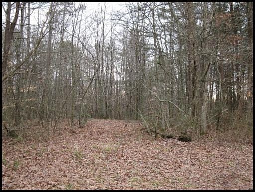 2nd image of Litton Cemetery Rd