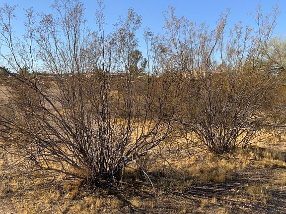 3rd image of 1959 W Ivar Rd Lot 143C