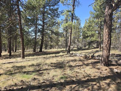 Widgeon Dr #39, Bonanza, OR, 97623