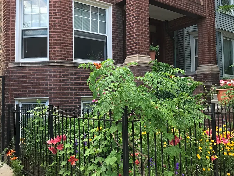 4106 N Damen Ave #1 — Photo 18