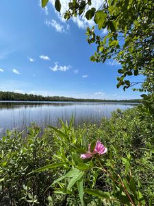 9840 Ocqueoc Lake Rd, Ocqueoc, MI, 49759