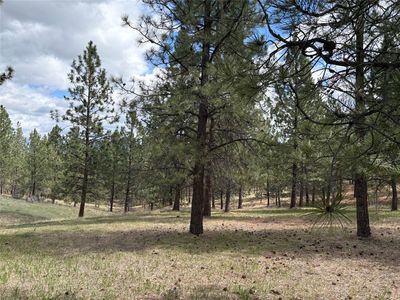 535 El Capitan Loop, Florence, MT, 59870