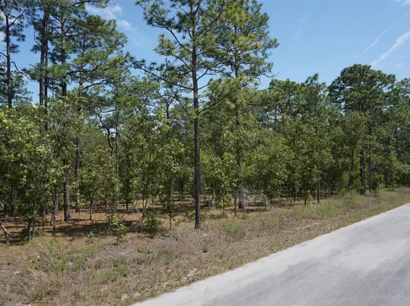 NW Tree Top Rd Lot 27, Dunnellon, FL 34431
