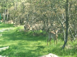 Susquehanna Dr, Jim Thorpe, PA 18229