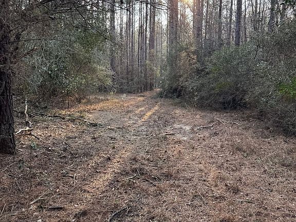 Photo Feb 13 2026 4 16 28 Pm