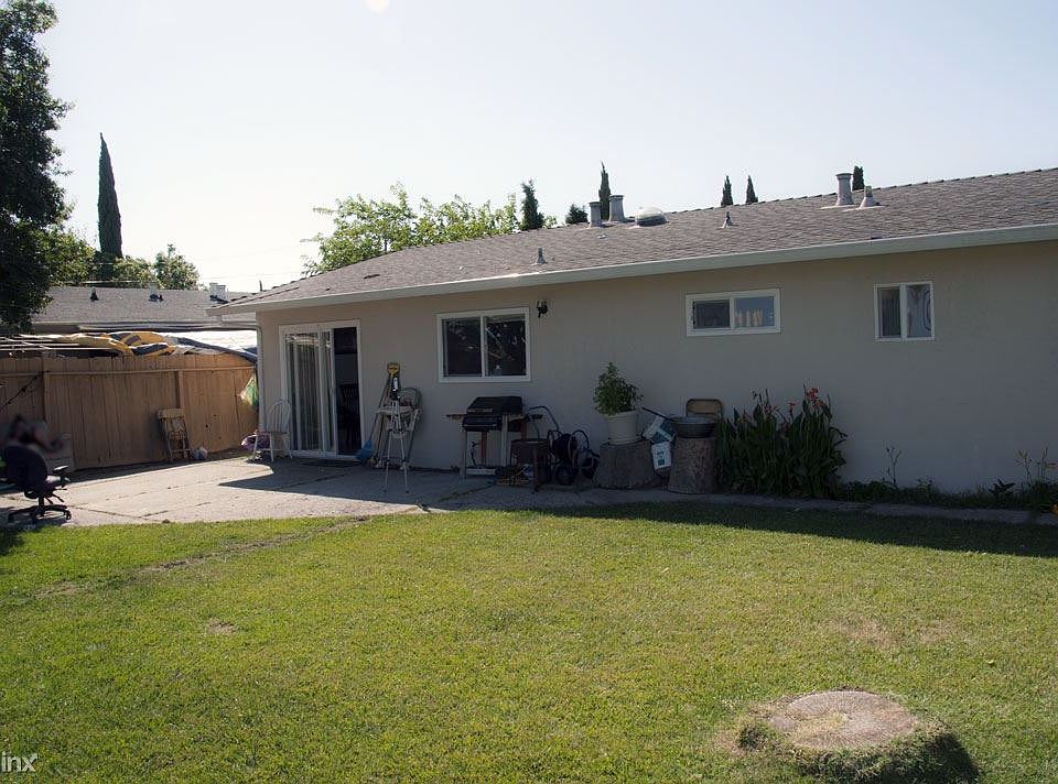 Back-Yard