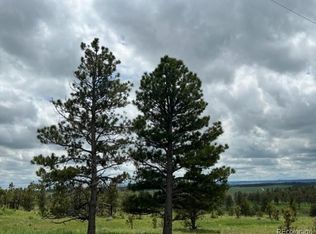 31963 Ridge Rd, Ramah, CO 80832