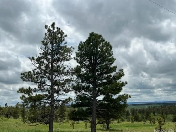 31963 Ridge Road, Ramah, CO 80832