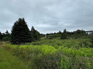 17 Crowes Lane, Torbay, NL A1K1H5