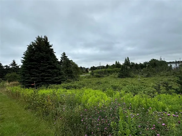 17 Crowes Lane, Torbay, NL A1K1H5