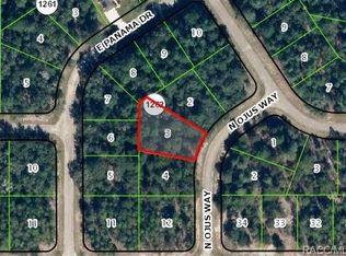 9272 N Ojus Way, Citrus Springs, FL 34434