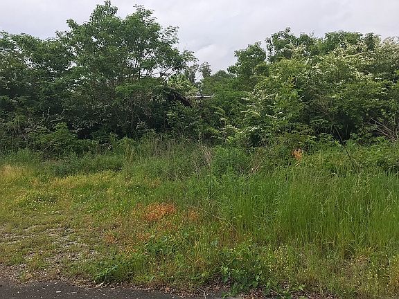 3rd image of 382 Kelley Dr