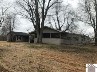 47 McGuire Rd, Symsonia, KY 42082