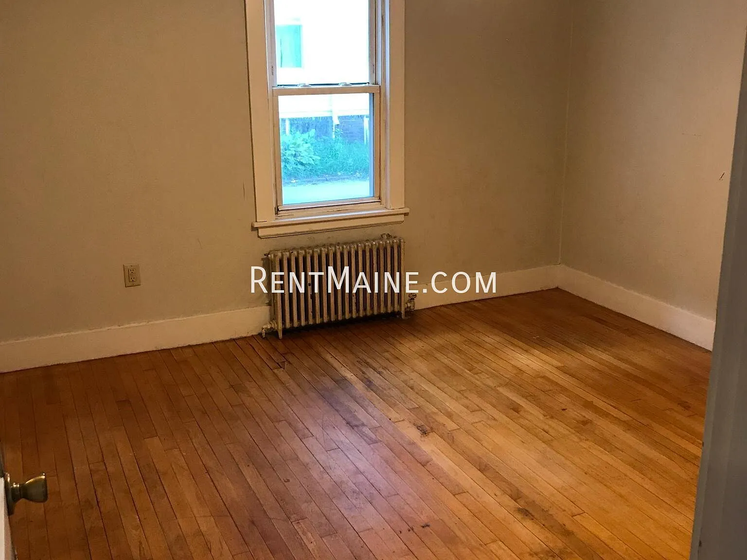1 bed, $1,300 — Photo 4