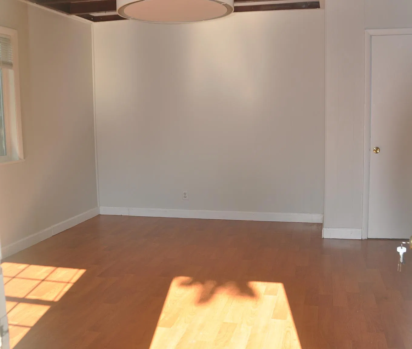 1 bed, 800 sqft, $1,595 — Photo 3