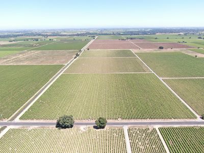 20860 N Devries Rd, Lodi, CA, 95242
