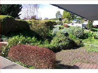 3rd image of 546 Cuesta Dr