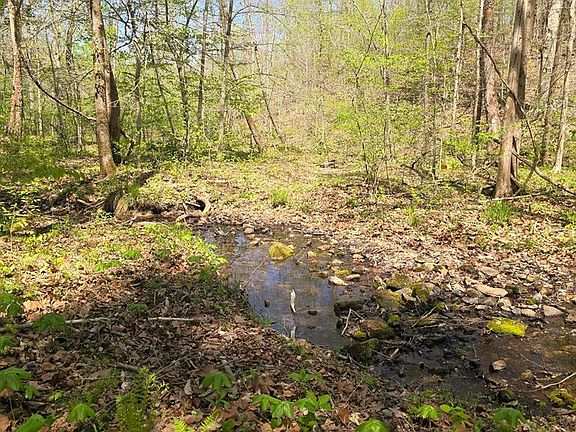 2nd image of 4149 Highway 49/lot #1