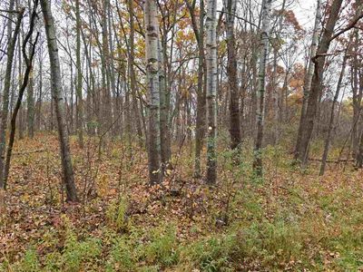 L994 Pine Tops Ct S, La Valle, WI, 53941