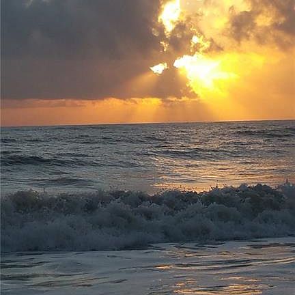 5th image of 5400 Highway A1a