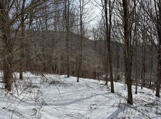 TRACT Three Burg Spg, Snowshoe, WV 26209