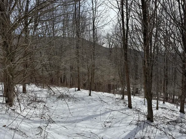 TRACT Three Burg Spg, Snowshoe, WV 26209