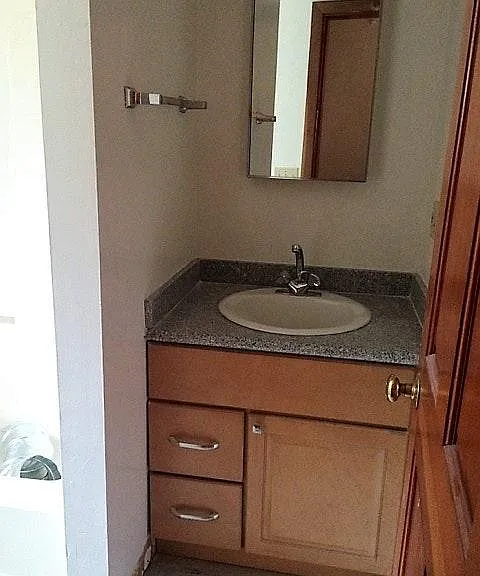 New Vanity