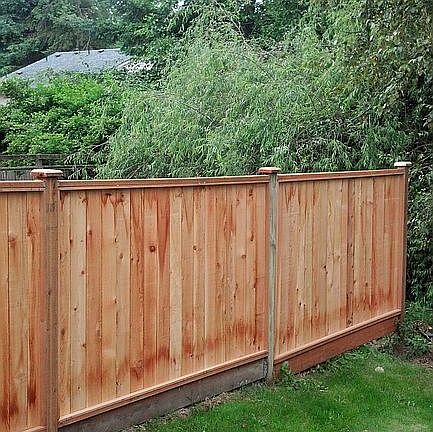 Fence south yard.