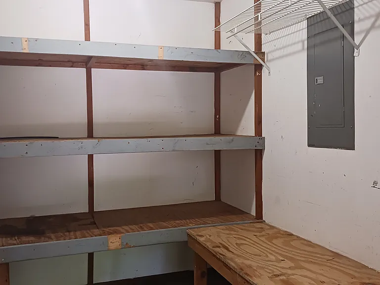 Extra storage room accessed from garage with large custom shelving