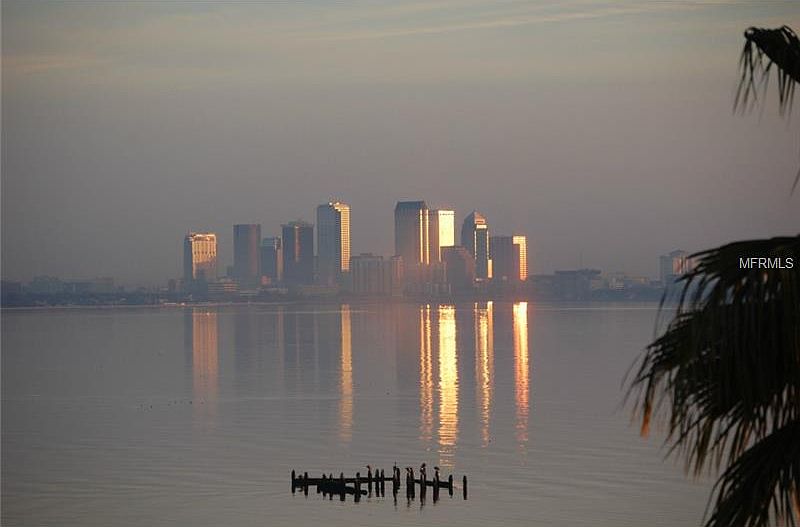 1st image of 4950 Bayshore Blvd APT 18