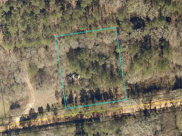 Three Bridges Rd, Americus, GA 31709