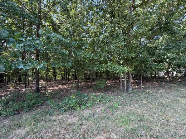 1064 Bittersweet Rd, Lake Ozark, MO 65049