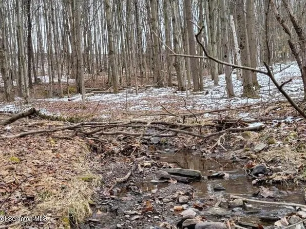 Orchard Hill Rd, Tunkhannock, PA 18657