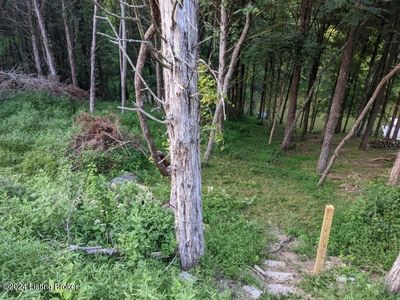 LOT-214A 215a Trailwood Ln, Bagdad, KY, 40003