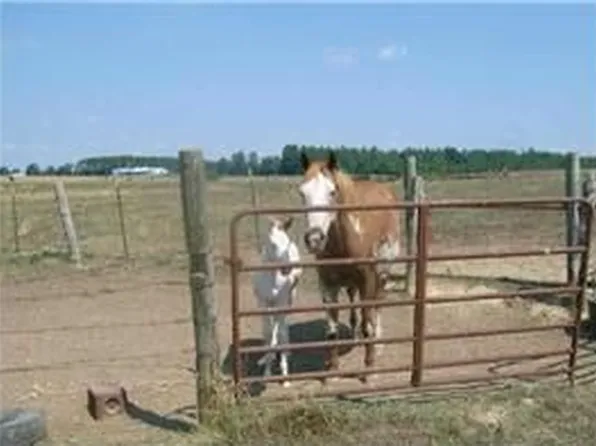 431 Clearview Ln, Saluda, SC 29138