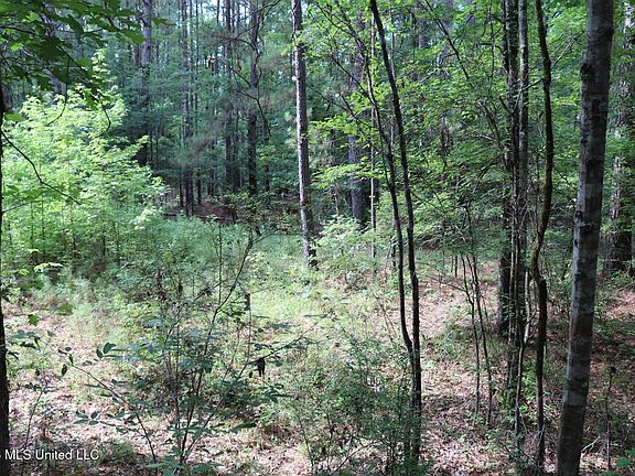 5th image of 2026 Stump Bridge Rd