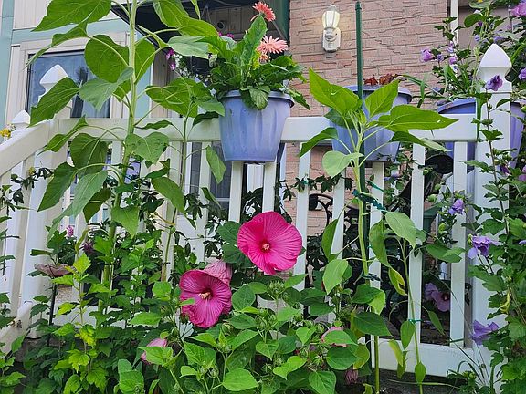 2nd image of 72 Adswood Rd E