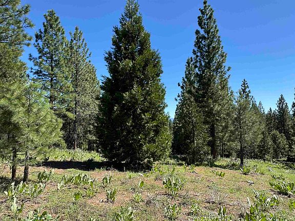 2nd image of 288 Arrowleaf Rd