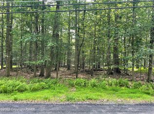 110 Tommys Ln, Pocono Lake, PA 18347