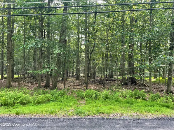 110 Tommys Ln, Pocono Lake, PA 18347